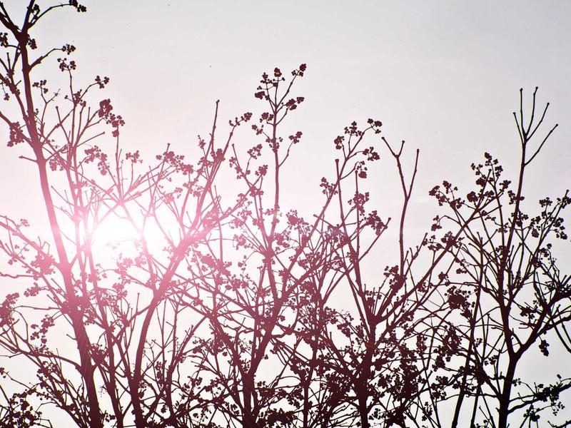 sudoku multiplayer mode screenshot 3